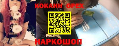 прущие грибы Камышлов